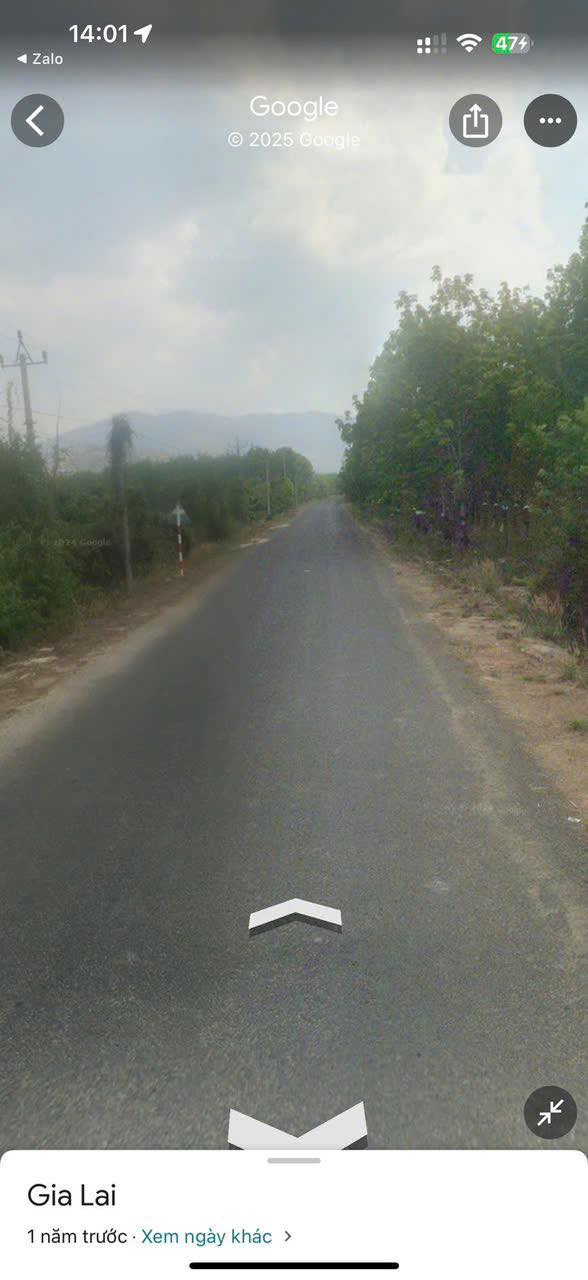 Bán gấp rẫy 7ha mặt tiền nhựa, Chư Păh, Gia Lai - Sẵn sàng khai thác