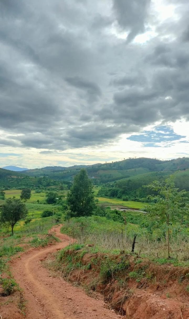 Đất nền Đắk Long, Kon Plông 5.1ha - Tiềm năng tăng giá vượt trội!