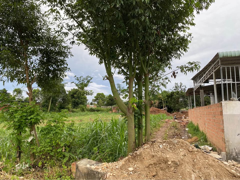 Đất nền Kon Tum 525m² - Nở hậu tài lộc, đường ô tô thông thoáng!