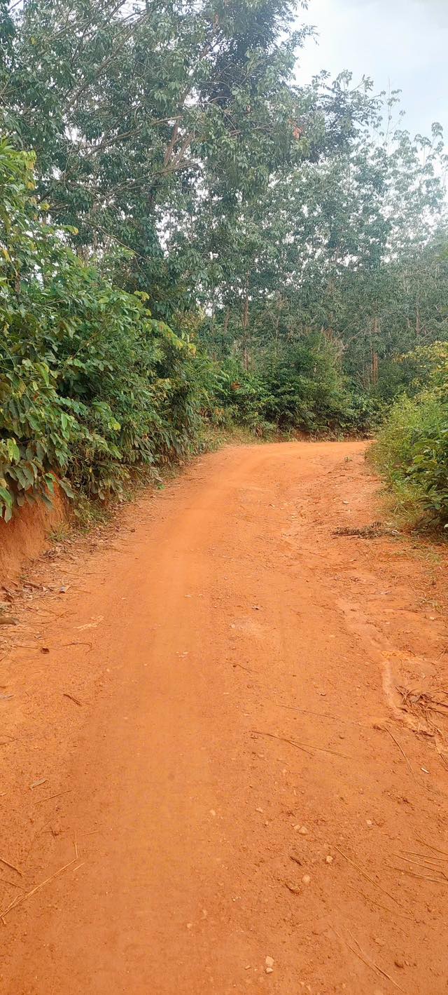 Bán rẫy 360m² Xã Đắk Blà, Kon Tum - Sổ Trích Đo Sẵn Sàng