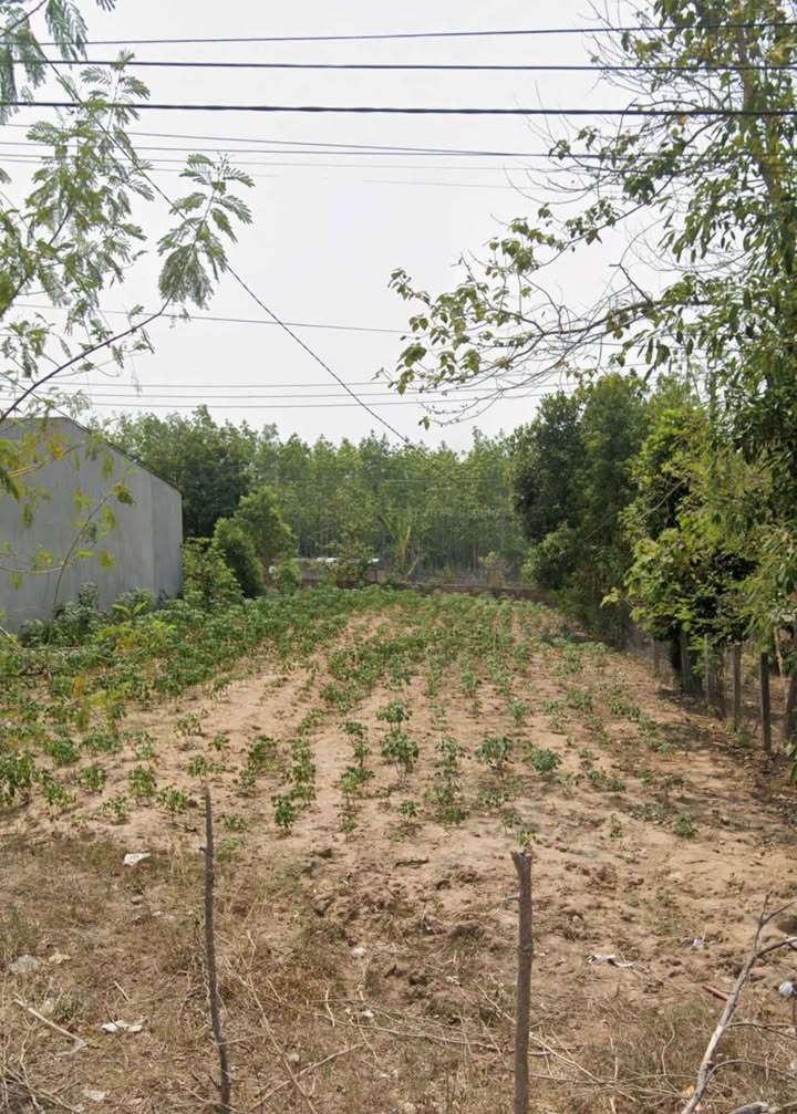 Bán Đất Tỉnh Lộ 671 Kon Tum - 225m² Hướng Tây Nam - Giá 605 Triệu