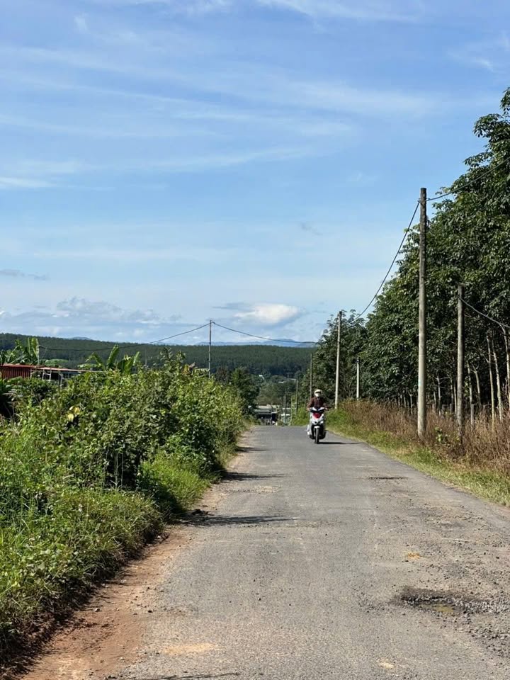 Đất Vườn Đắk Hà 3150m² - Giá Tốt, Pháp Lý Rõ Ràng, Tiềm Năng Đầu Tư