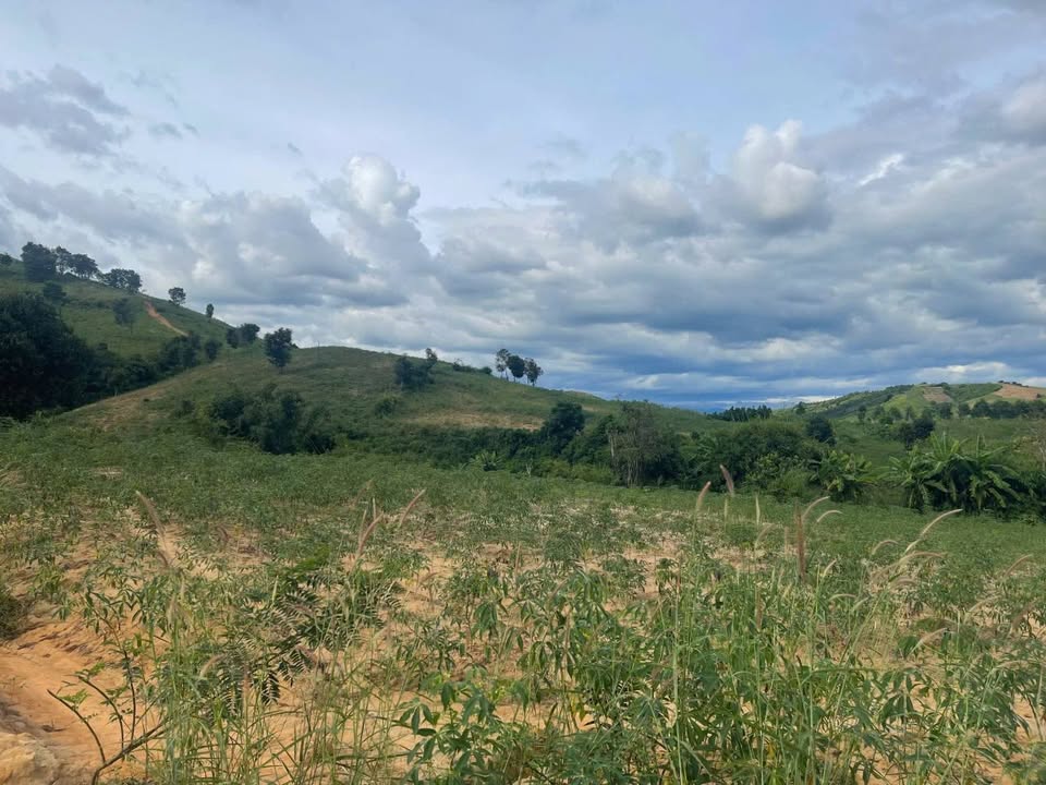 Bán Rẫy 6400m² Kon Rẫy, Kon Tum - Giá 299 Triệu, Đất Bằng Màu Mỡ