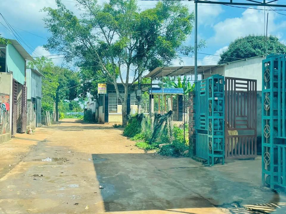 Đất nền Pleiku 150m² - Hẻm Nguyễn Bá Lại, An Phú - Giá 3xx Tỷ