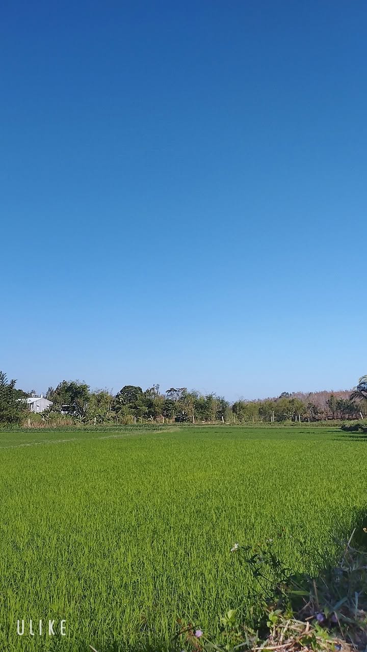 Bán Đất Đường A Khanh Kon Tum 350m² - Giá 6 Tỷ, Sẵn Sàng Sang Tên