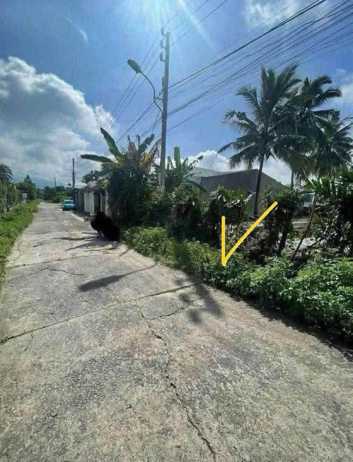 Đất nền Lê Hữu Trác Ngọc Hồi 150m² - Sổ đỏ chính chủ, giá chỉ 1 tỷ!