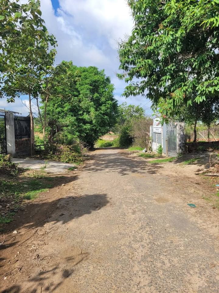 Bán Đất Nông Nghiệp 300m² Đường Nguyễn Lương Bằng, Kon Tum - 195 Triệu