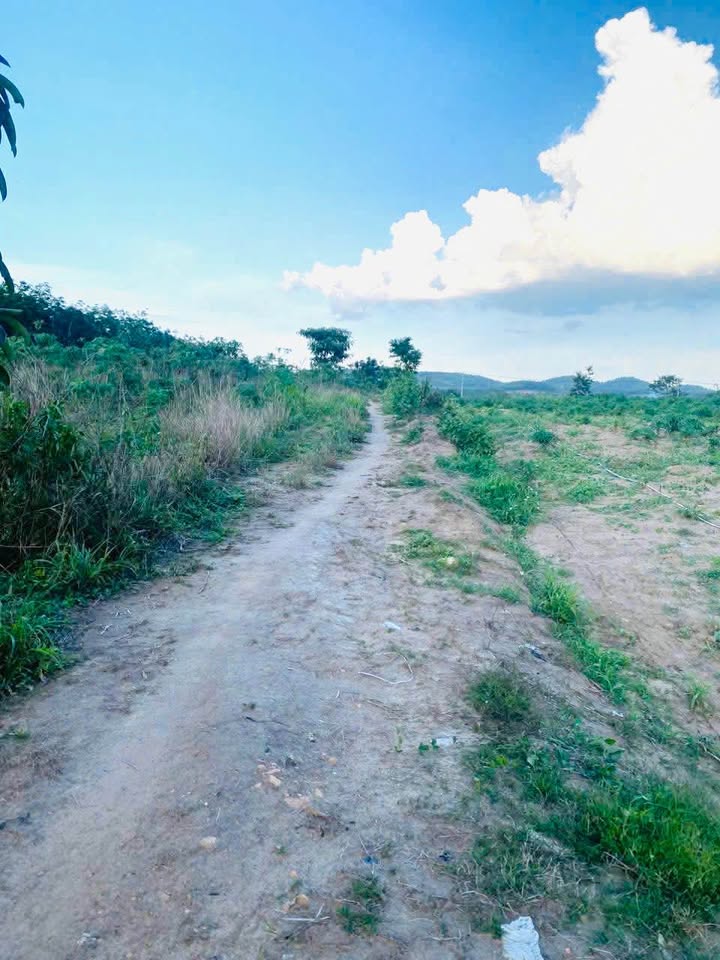 Đất Nền Kon Tum 520m² - Sổ Đỏ Thổ Cư, Giá F0 Chỉ 399 Triệu