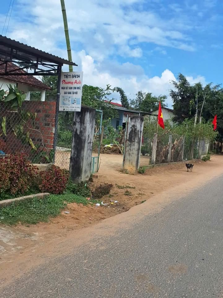 Đất Vàng 520m² Mặt Tiền Kinh Doanh Thị Trấn Đăk Hà, Kon Tum - Giá Tốt