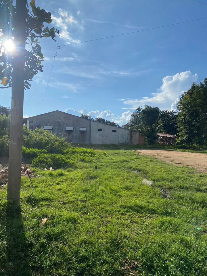 Đất nền Thôn Trung Thành, Kon Tum 140m² giá chỉ từ 100 triệu - Đường to ô tô!