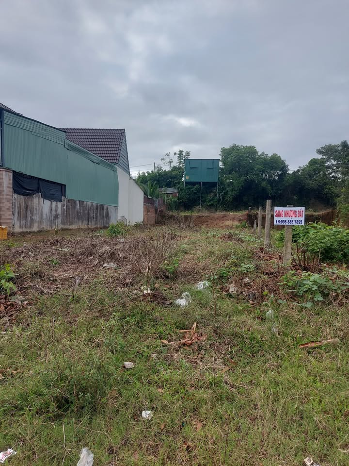 Đất nền Sa Thầy 1039m² - Sổ đỏ chính chủ, tiềm năng sinh lời!