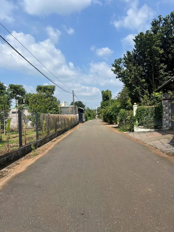 Đất Nền Mặt Tiền Đường Nhựa 590m² Giá Tốt Tại Bàu Bàng, Bình Dương
