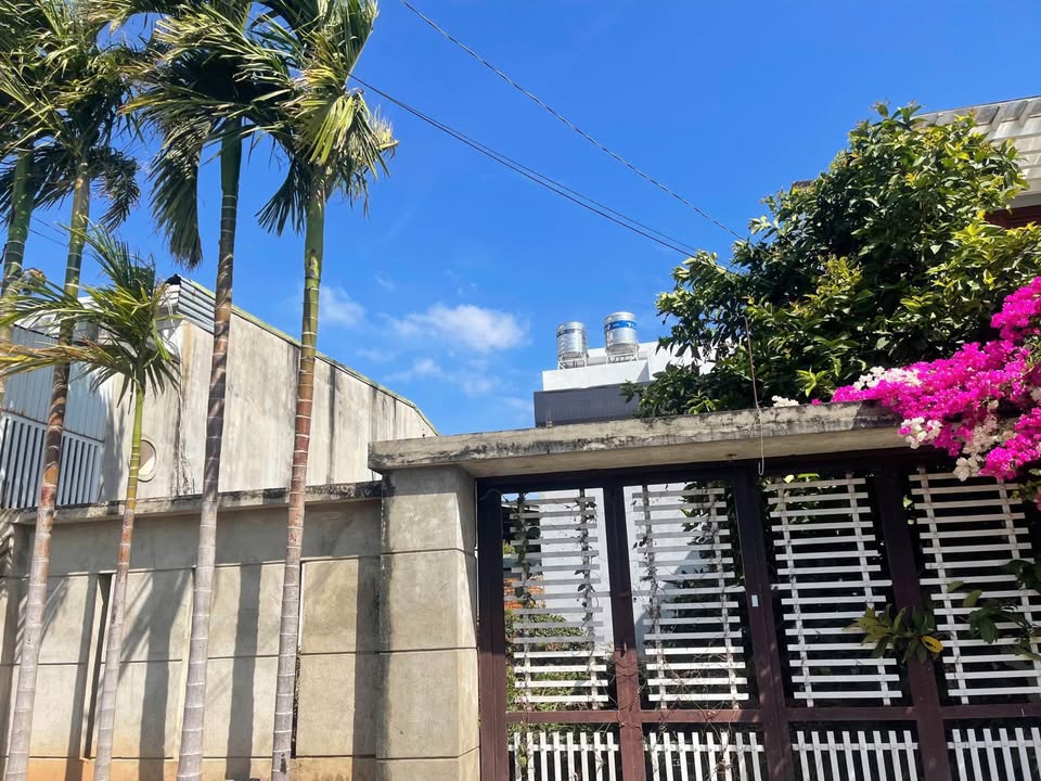 Đất nền Mạc Đỉnh Chi, BMT 186m² - Đất thổ cư 100%