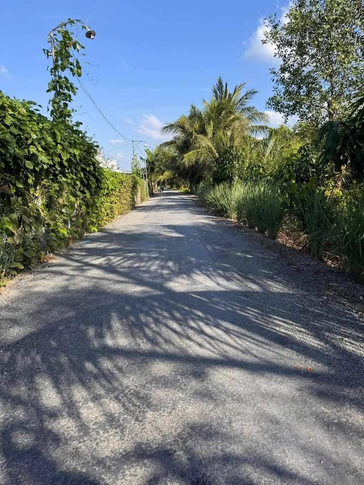 Bán Nền Đất 425m² Phạm Thành Trung, Cái Bè - Giá 1.75 Tỷ, Sẵn Sàng Xây Dựng