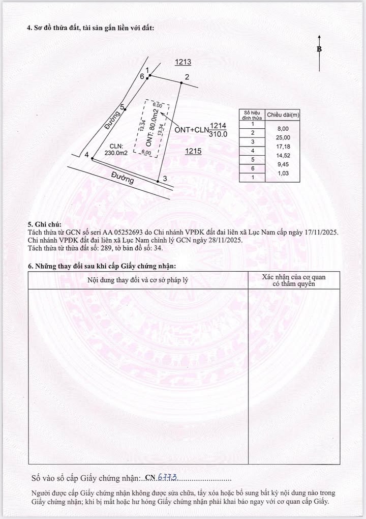 Đất nền Bình Sơn, Lục Nam 310m² - Hơn 400 triệu, đường ô tô rộng rãi!
