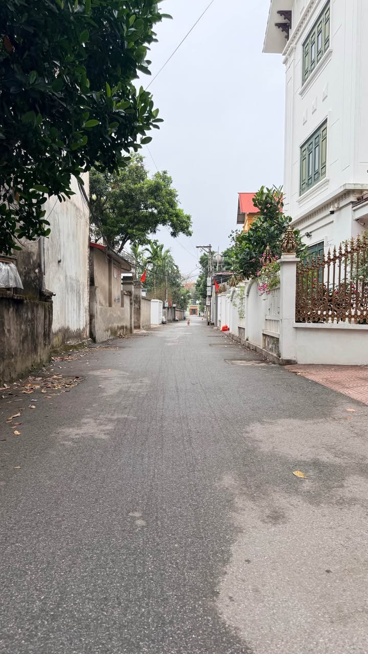 Đất nền Ninh Xá 56m² - Lô góc 2 mặt tiền, sổ đỏ sẵn sàng!