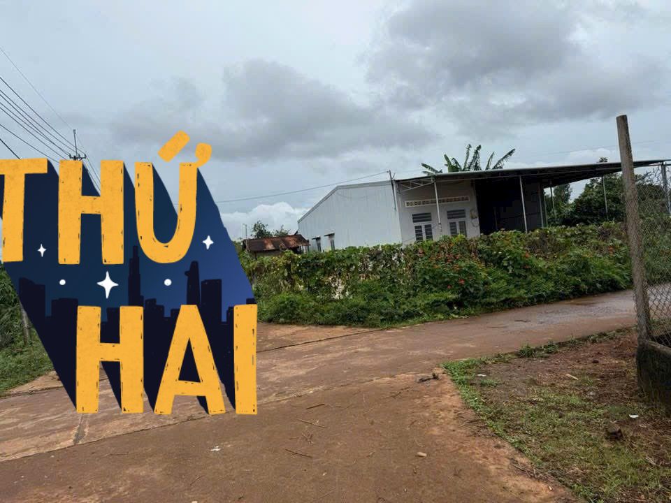 Đất Làng Phùng Pleiku - 150m² Sổ Đỏ Sẵn Sàng, Giá Đầu Tư Chỉ 3xx Triệu