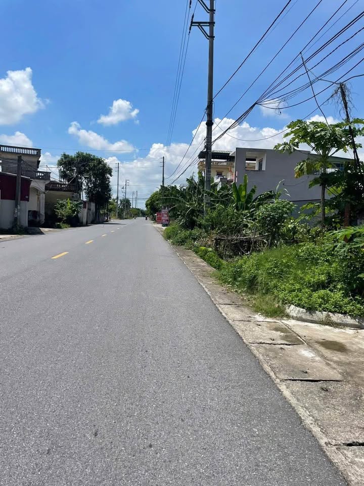 Đất Kinh Doanh Mặt Tiền Nguyên Xá 2, Quỳnh Phụ - 100m² Sẵn Sàng Đầu Tư