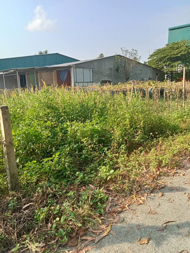 Đất Nền Thị Trấn La Hà 66m² - Sổ Đỏ Thổ Cư, Gần Trường Học