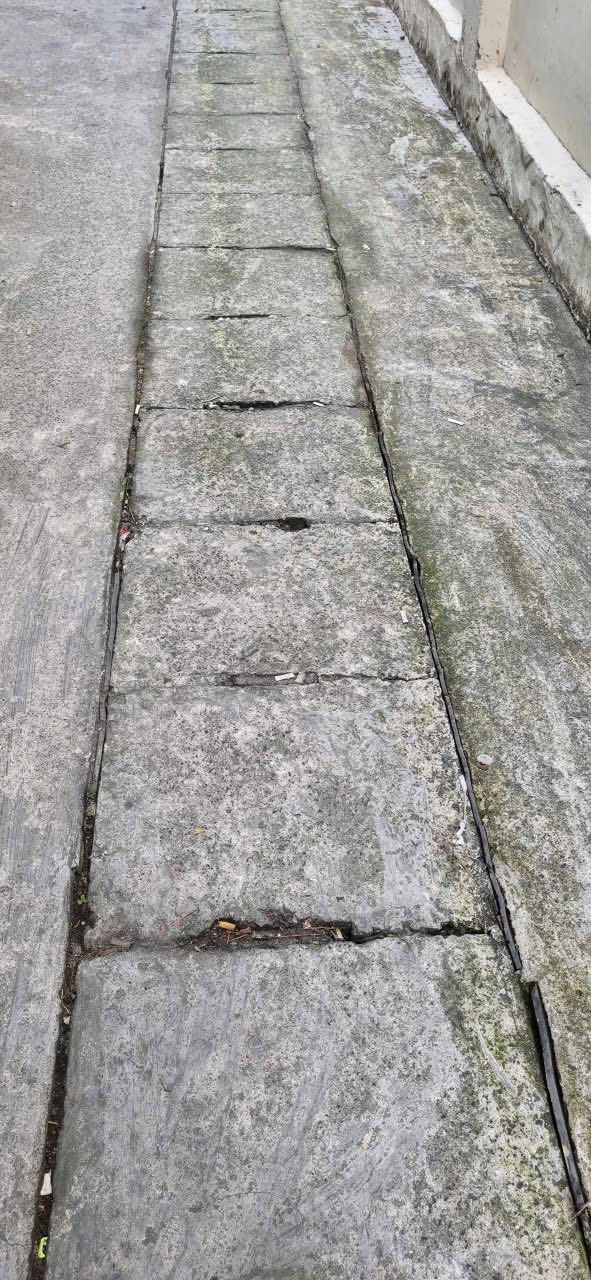 Nhà riêng Long Hải, Bà Rịa Vũng Tàu 96m² giá 1.4 tỷ - Giá tốt hiếm có!