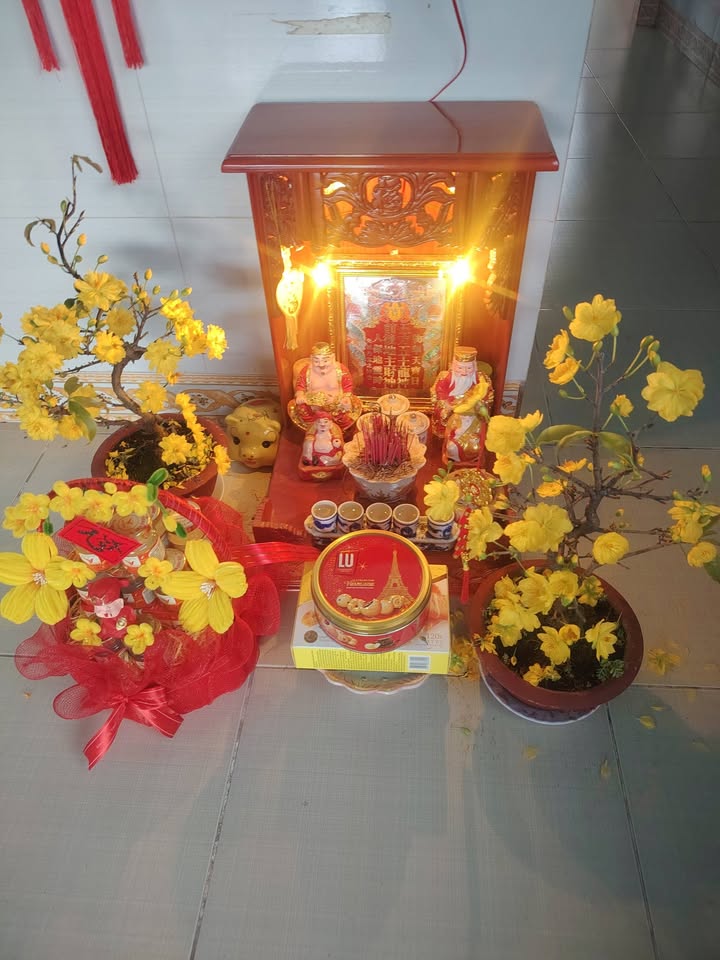 Đất nền Bình Lợi Bình Chánh 342.6m² - Đất thổ cư 100%!