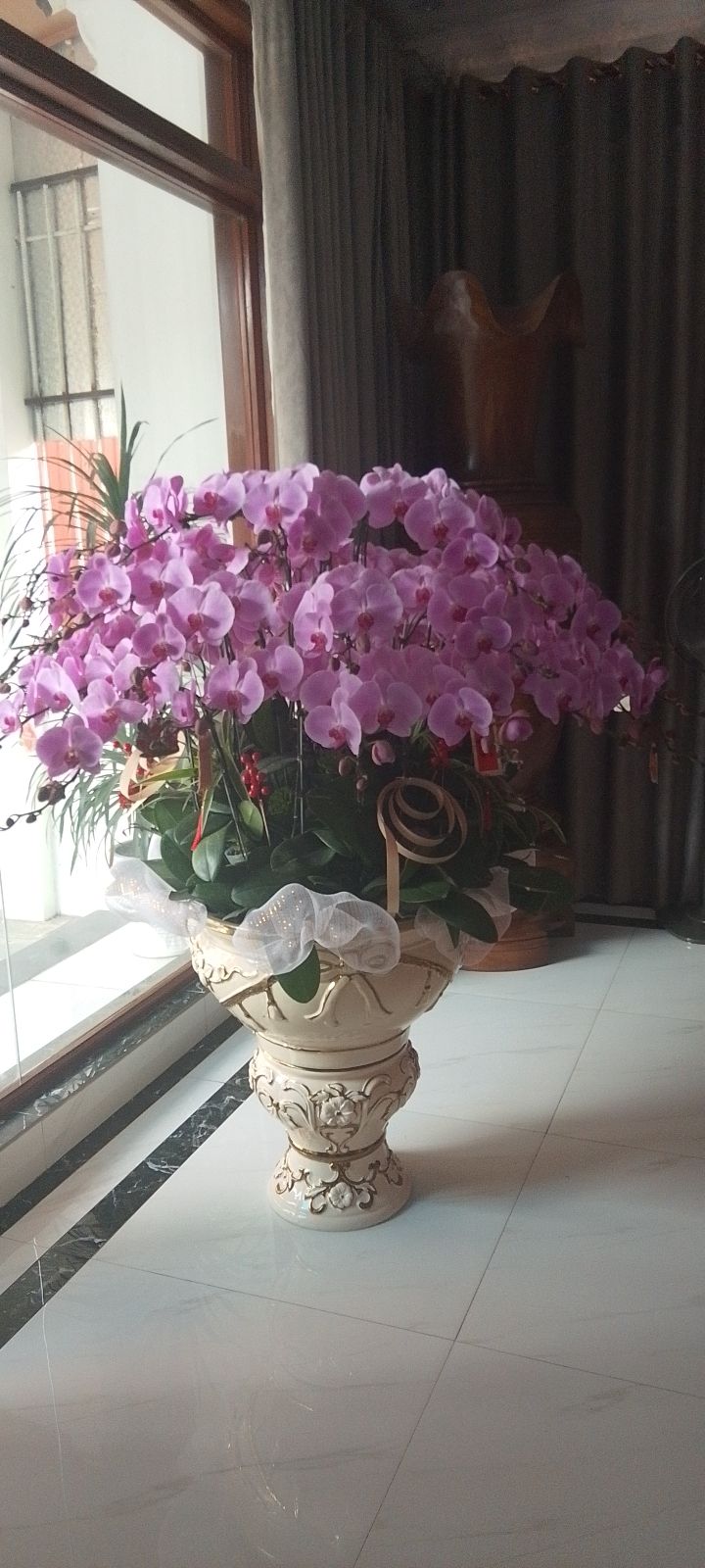 Đất nền Tổ 2 Bắc Sơn, Tam Điệp 81m² - Sổ đỏ chính chủ