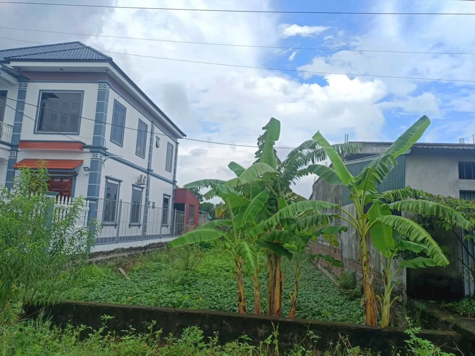 Đất nền Xã Quang Khải, Tứ Kỳ 125m² - Sổ đỏ chính chủ, đường lớn!