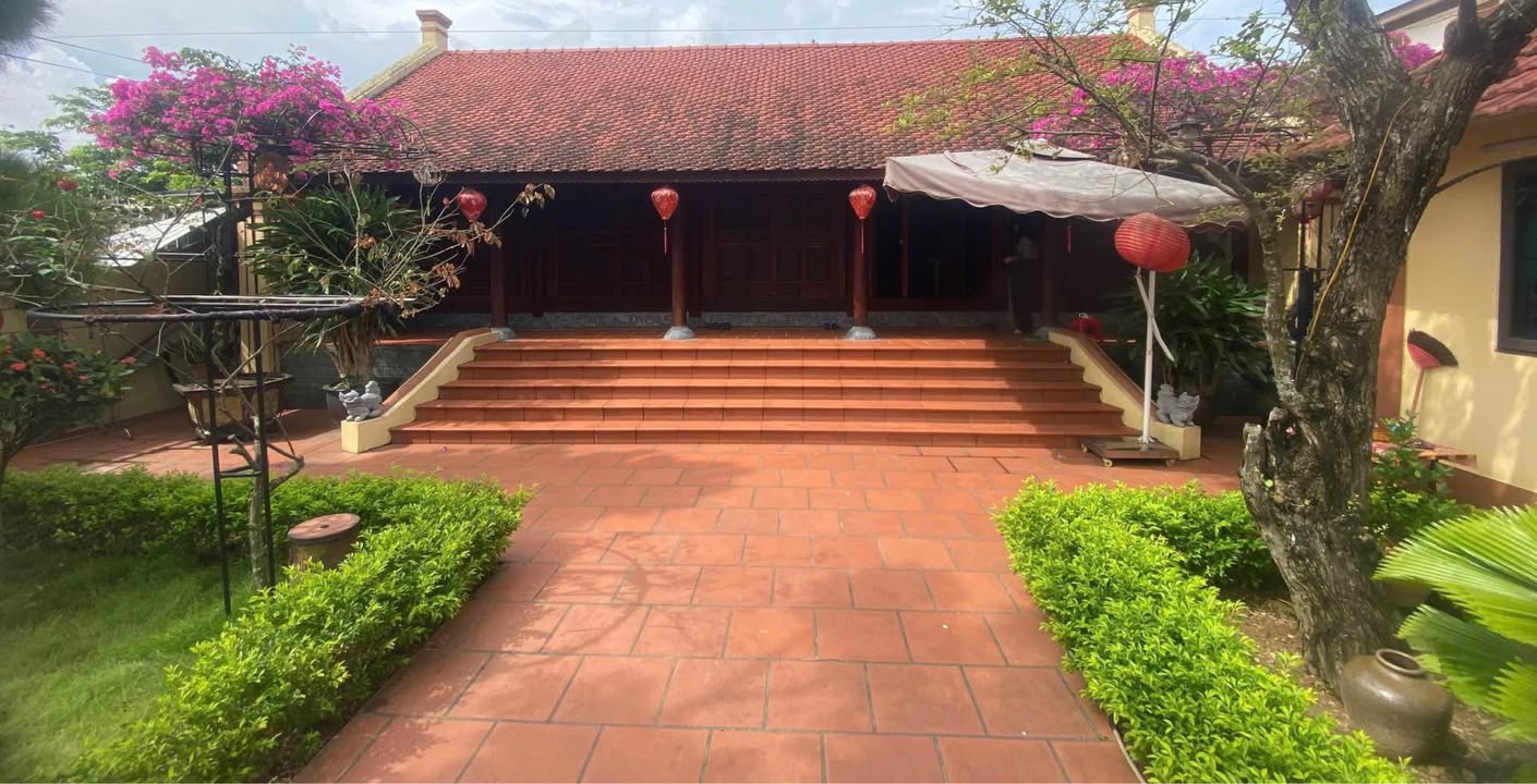 Nhà Gỗ MB2513 Rừng Thông 292m² - Sổ hồng sẵn, ô tô vào tận nơi!