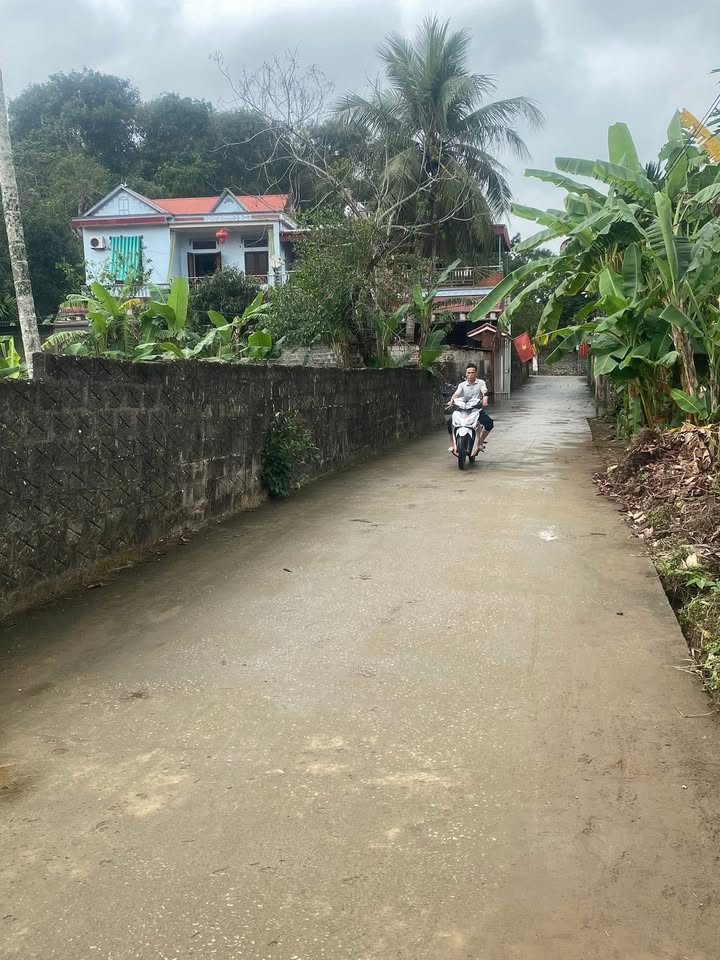 Đất nền 196m² Thọ Đồn, Vĩnh Lộc - Đường to ô tô, tiềm năng đầu tư!