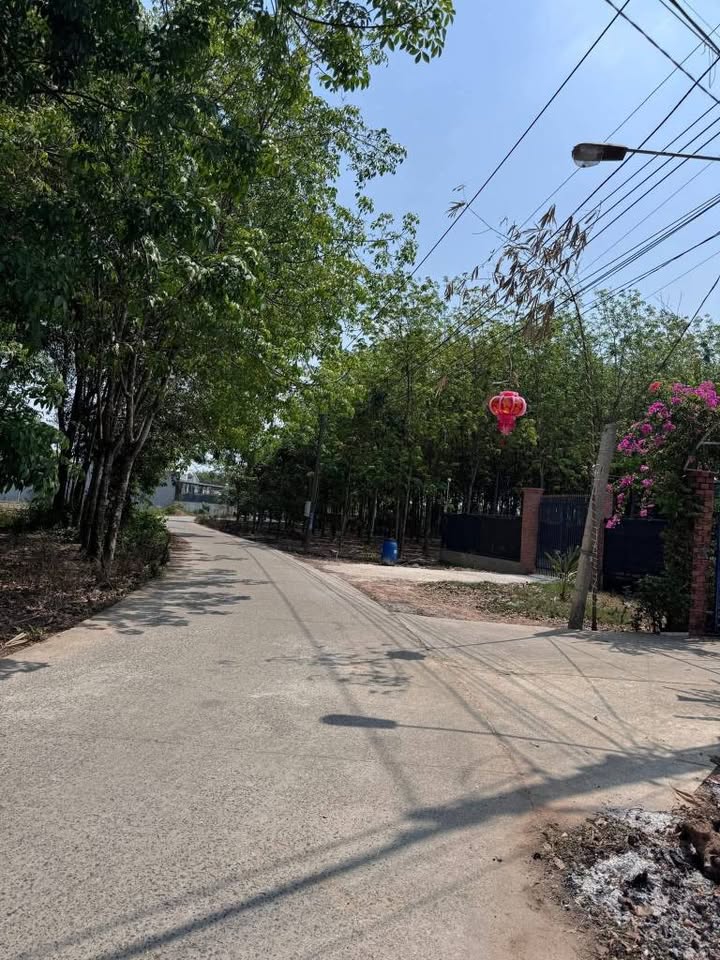 Đất nền Vĩnh Tân, Tân Uyên 168m² giá 1.5 tỷ - Tiềm năng tăng giá