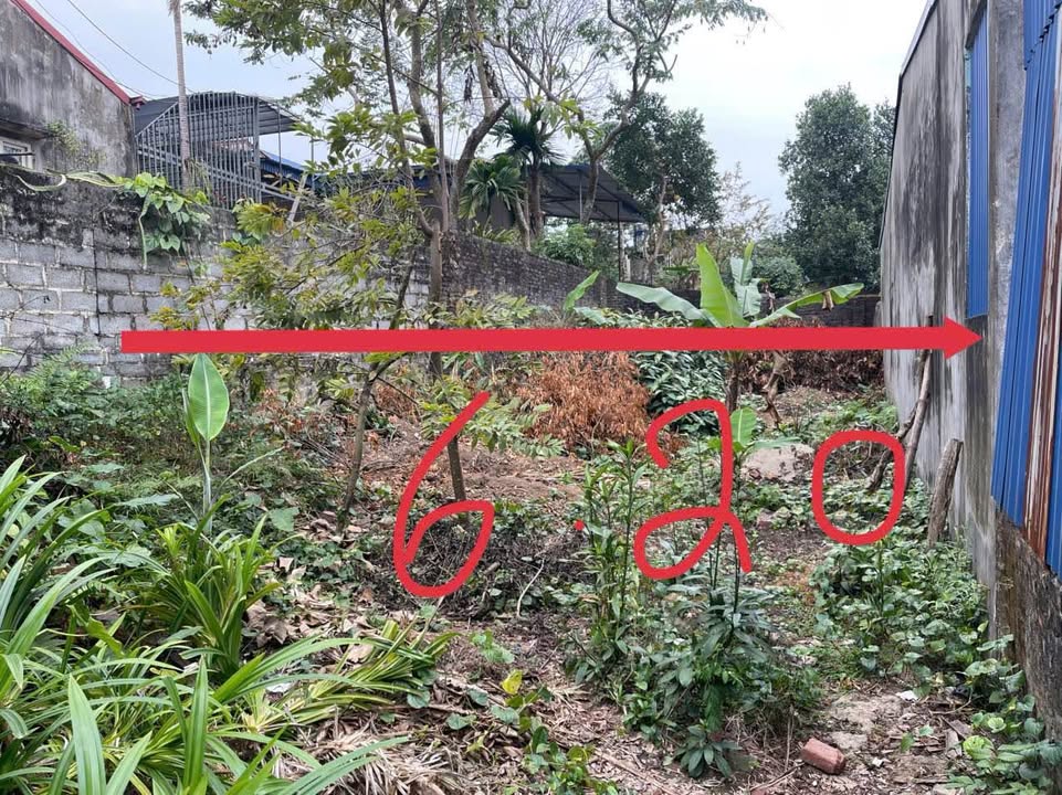 Đất Vàng Phường Thịnh Đán, TP. Thái Nguyên - 120m² - Dưới 2 Tỷ - Sổ Đỏ Sẵn