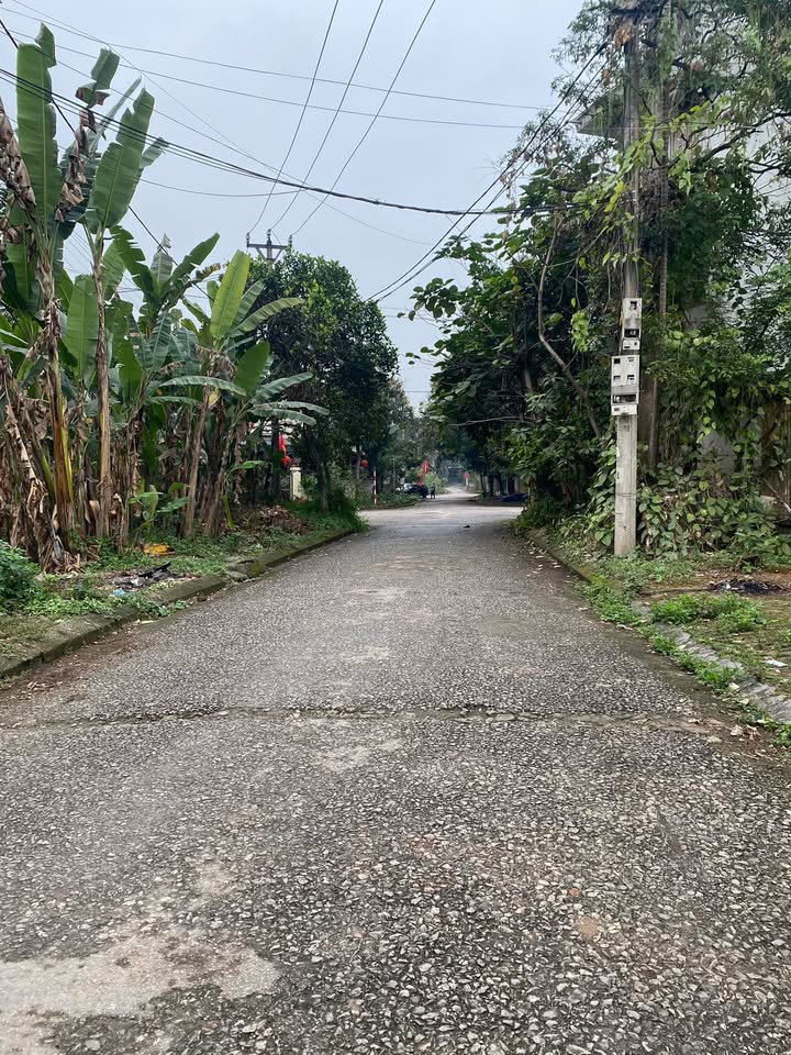 Đất nền TDC Tân Long, Thái Nguyên 90m² chỉ từ 1 tỷ - Sổ đỏ chính chủ!