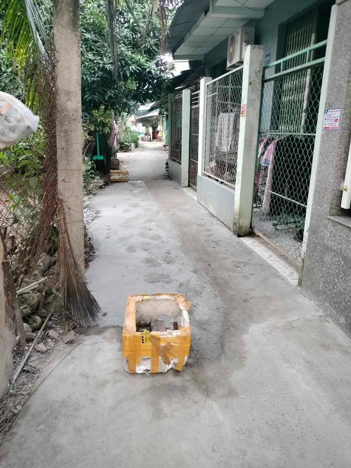 Cho thuê nhà nguyên căn hẻm 66 Mỹ Tho - 1.8 triệu/tháng