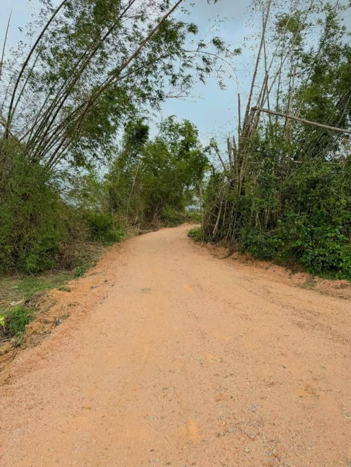 Bán Đất Vĩnh Lý, Phù Mỹ 500m² Sổ Đỏ - Vị Trí Đắc Địa