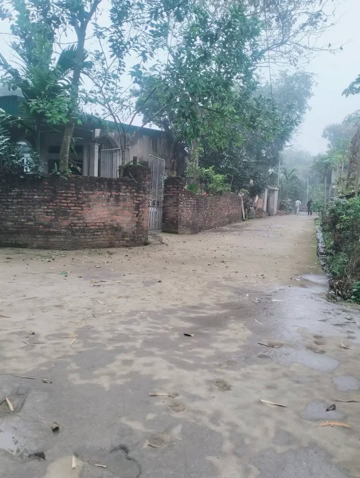 Đất nền Vân Phú, Việt Trì 105m² - Giá F0 CĐT!