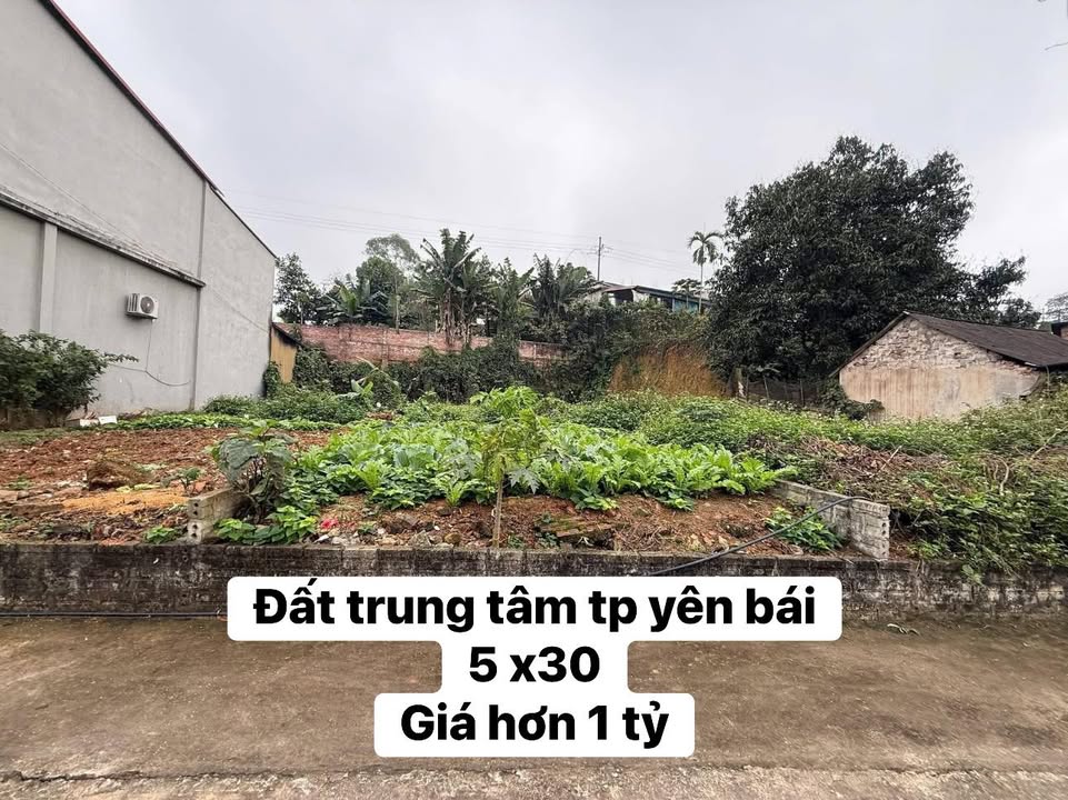 Đất nền Yên Ninh, Yên Bái 150m² - Đường to ô tô, xây dựng tự do!