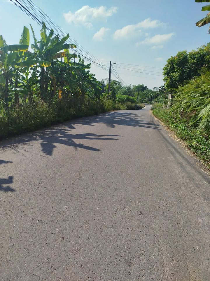 Đất nền Thịnh Đán Thái Nguyên 154m² - Đường to ô tô, giá chỉ từ 600 triệu!