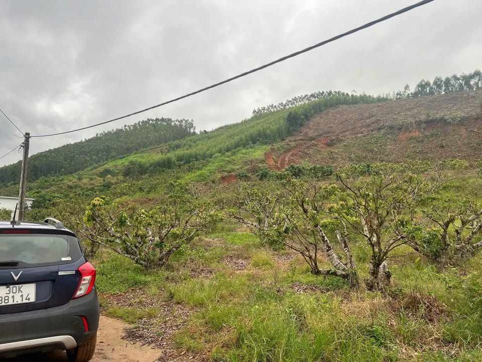 Đất vườn Vân Trung 2880m² - Sổ hồng sẵn sàng, đầu tư sinh lời!