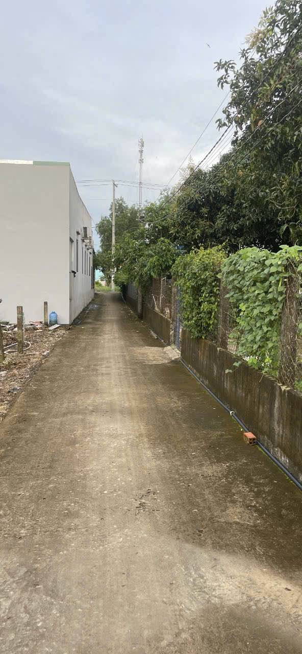 Bán Đất Nhị Thành Thủ Thừa 130m² Sổ Đỏ - Gần KCN, Đường Xe Hơi