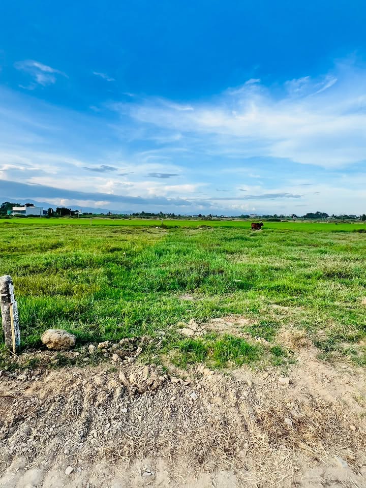 Bán Đất Thổ Cư Hàm Liêm 300m² - Sổ Đỏ Sẵn Sàng, Giá 1.7 Tỷ