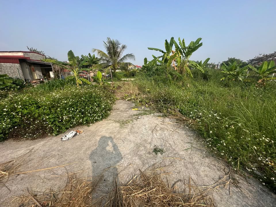 Đất nền Kiến Thụy 121.5m² - Chính chủ bán, pháp lý rõ ràng!