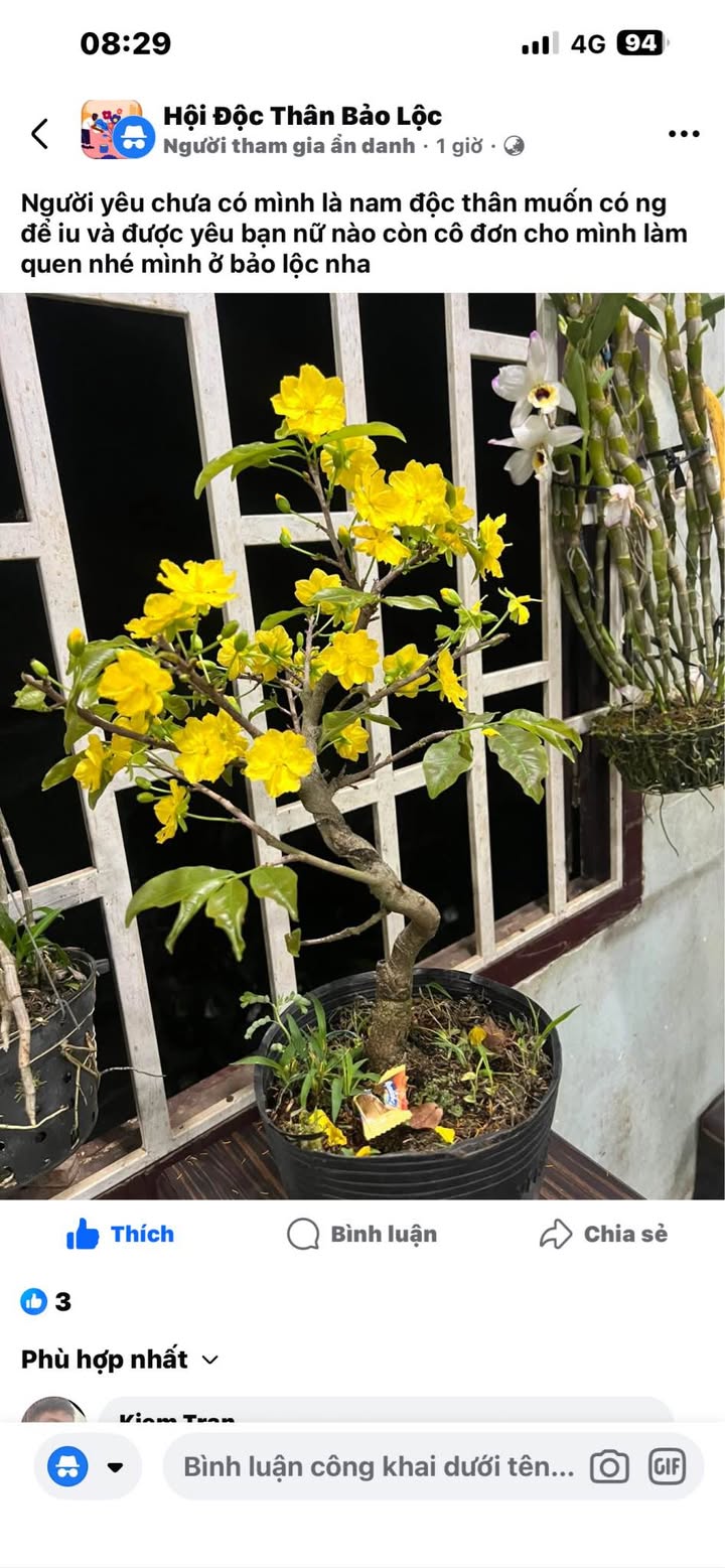 Đất Vườn Lộc Lâm, Bảo Lâm 6200m² - Sổ Hồng Rõ Ràng, Đầu Tư Hiệu Quả!