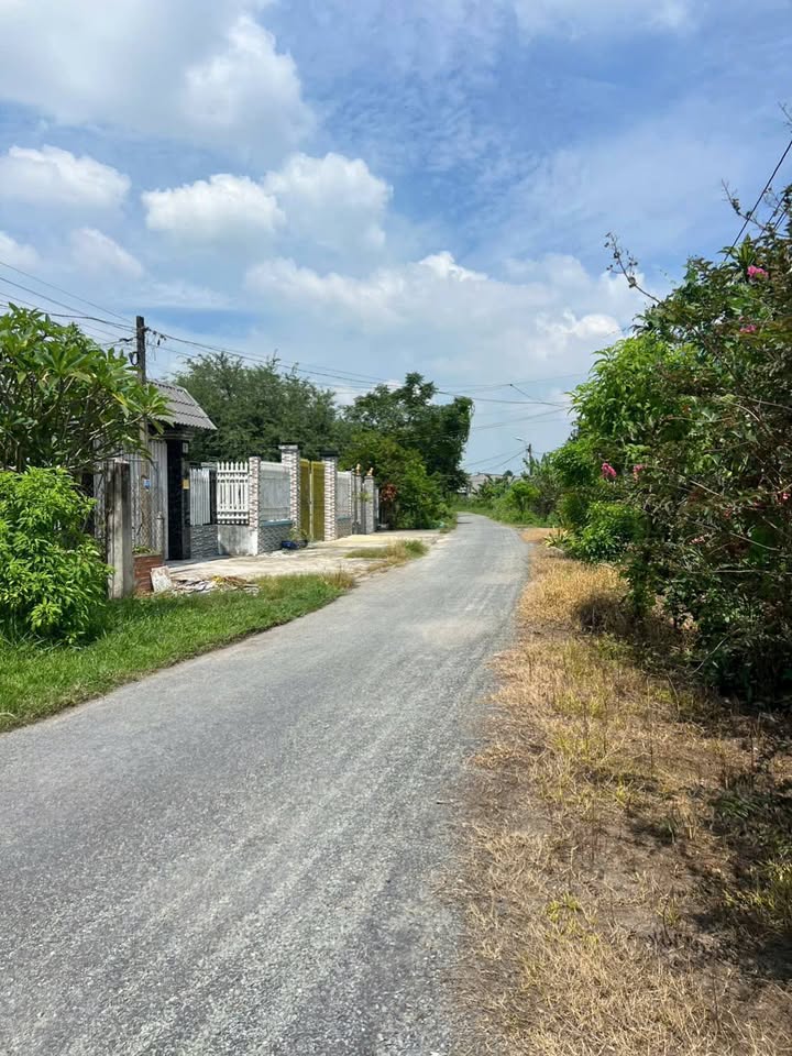 Bán Gấp 2 Lô Đất Mặt Tiền Lý Thị Lơn, Củ Chi - 340m²/lô, Sổ Riêng