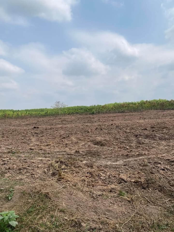 Đất nền Lộc Thạnh 360m² giá 135 triệu - Sổ đỏ chính chủ!