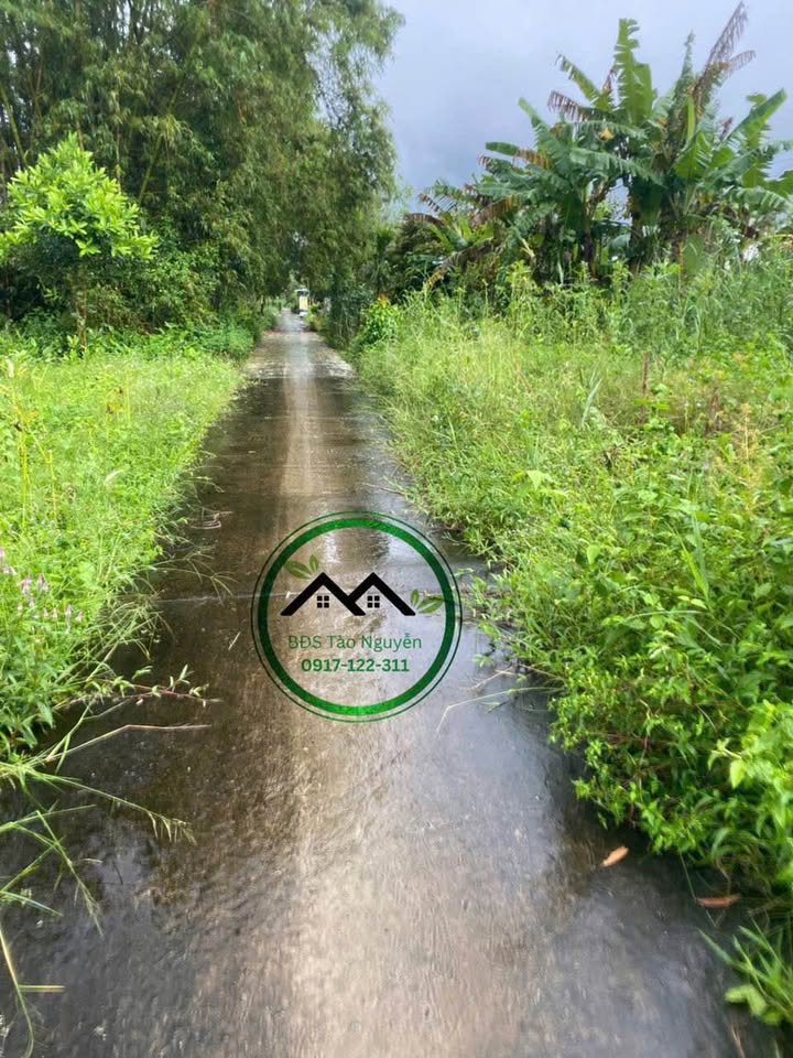 Bán Đất Vườn 1.5ha Sổ Hồng Thổ Cư Sẵn - Cà Mau Giá Tốt