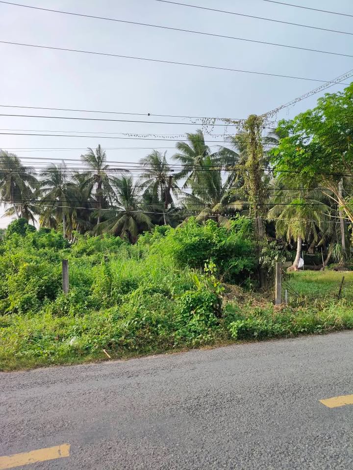 Đất Mặt Tiền Hương Lộ 13, Châu Thành, Trà Vinh - 650 Triệu, Nở Hậu 7m