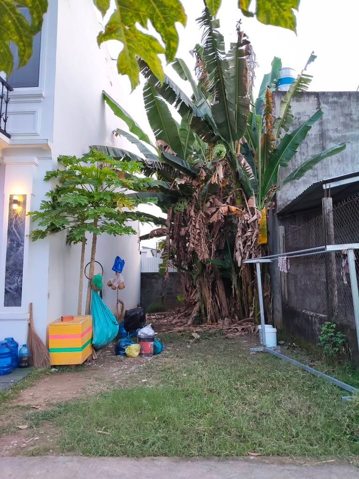 Đất nền Hòa Thuận Châu Thành 63m² giá 450 triệu - Đất thổ cư 100%