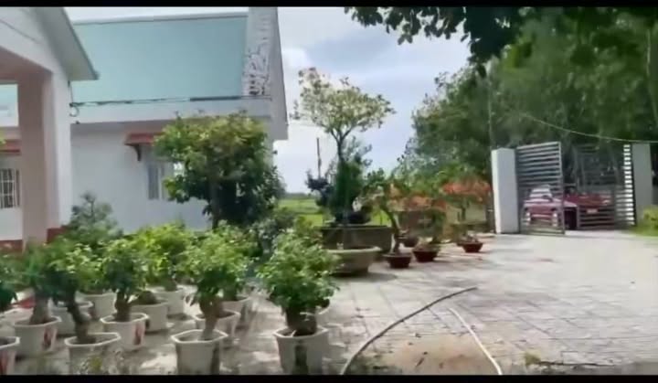 Nhà vườn Củ Chi 7000m² giá 14 tỷ - Nghỉ dưỡng lý tưởng!