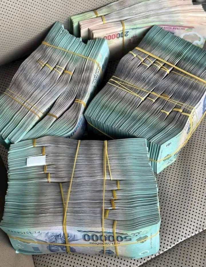 Đất Nền Củ Chi 838m² - Giá Tốt, Sổ Riêng, Đường 12m