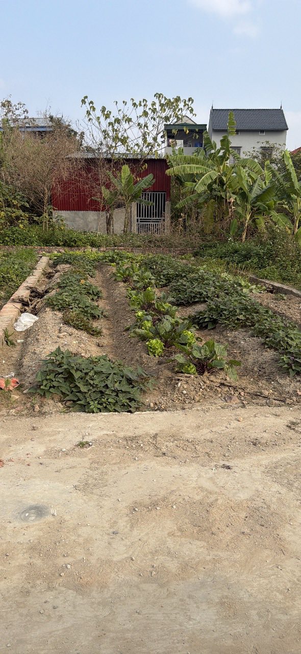 Đất nền An Bình Thuận Thành 54m² giá 1.97 tỷ - Sổ đỏ chính chủ